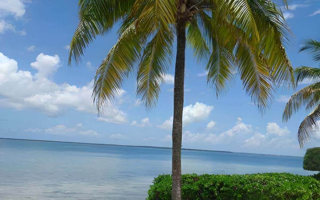 Caymankai, Villas, Grand Cayman, Cayman Islands, Vacation rentals Vacation Condos Vacations Villas The Retreat At Rum Point Pools of The Kai Gardens of The Kai Kaibo Condo Villas Family House