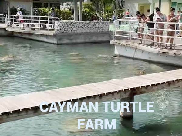 Cayman Island Vacation Activities
