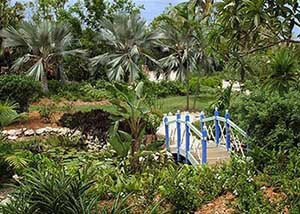 Cayman Kai, Cayman Islands, Grand Cayman, Vacations