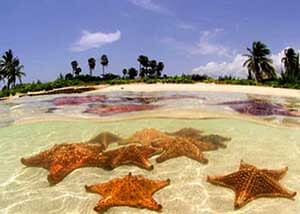 Cayman Kai, Cayman Islands, Grand Cayman, Vacations
